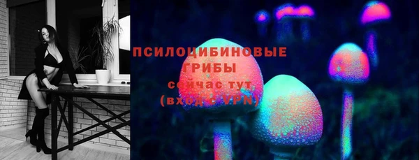 шишки Абинск