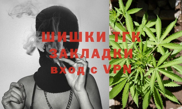шишки Абинск