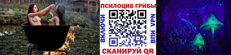 Псилоцибиновые грибы Cubensis Горбатов