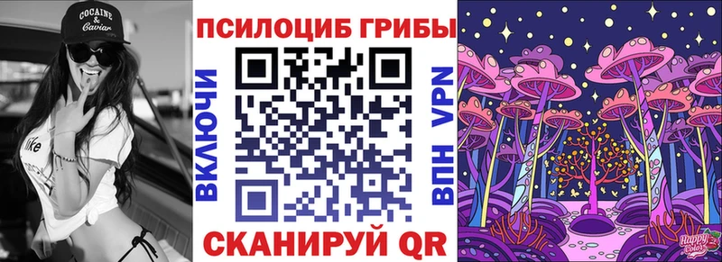 OMG онион  Горбатов  Галлюциногенные грибы Cubensis 